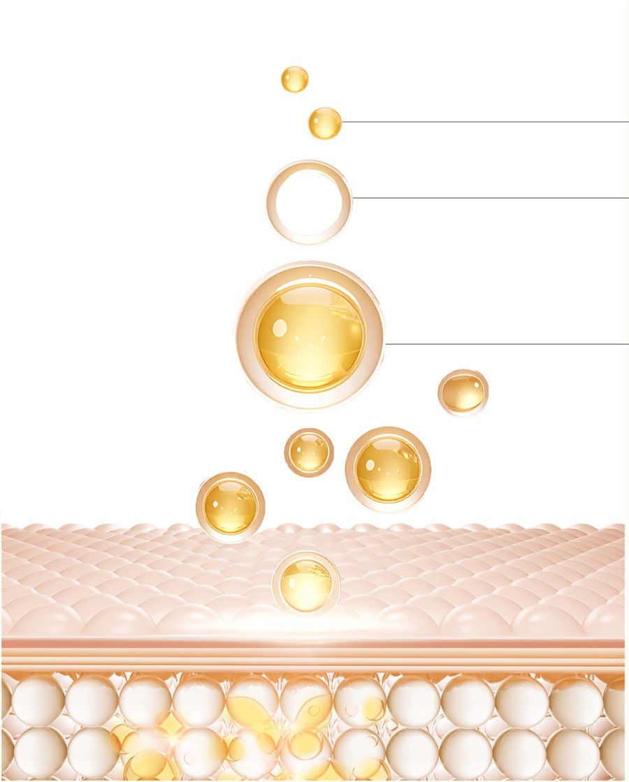 Diagram of Exoblanc Oil reverse micelles carrying active material through the skin barrier