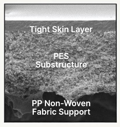 Cross-section of the Strat-M membrane showing tight skin layer, PES substructure and PP non-woven fabric support